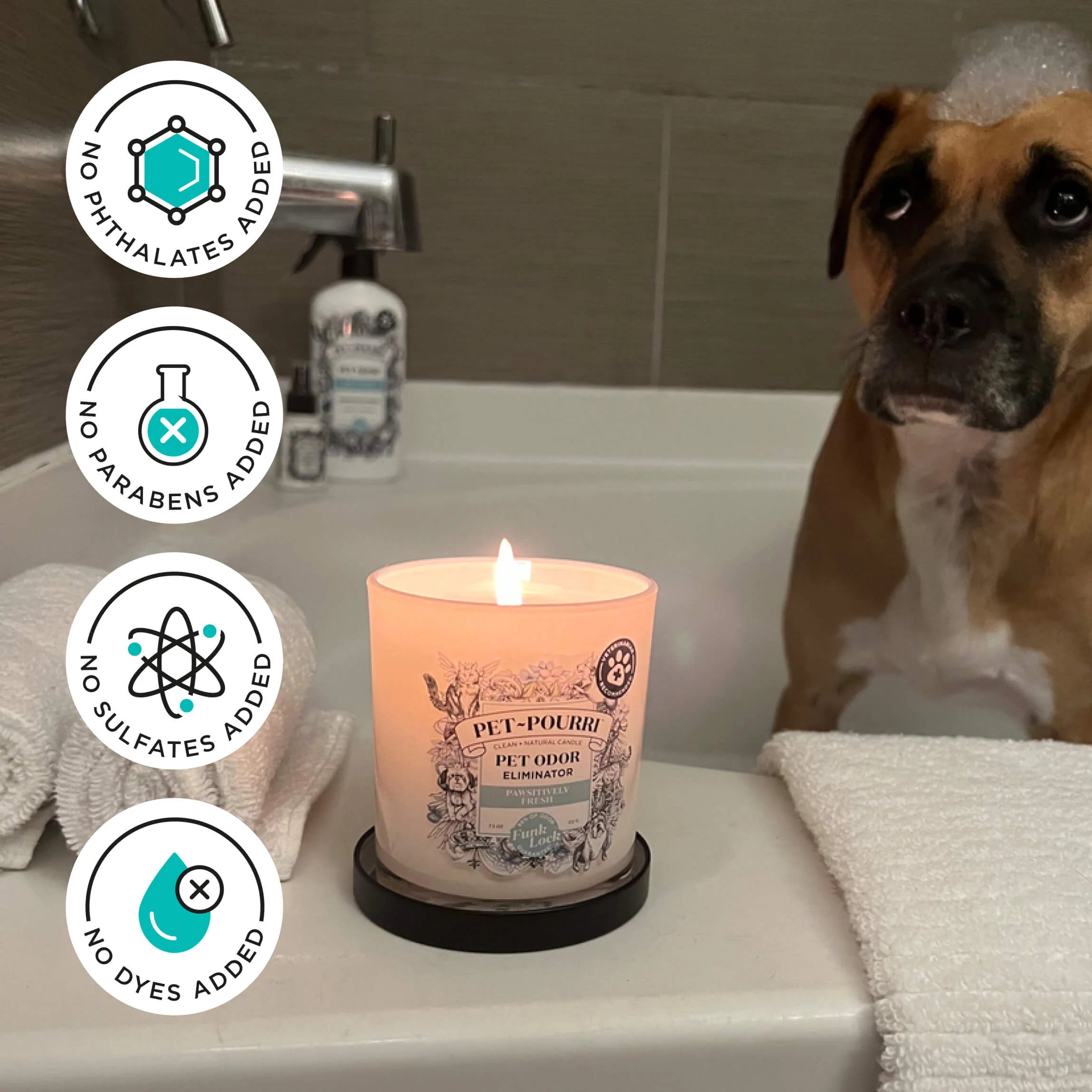 Pawsitively Fresh Candle - Pet~Pourri Candle
