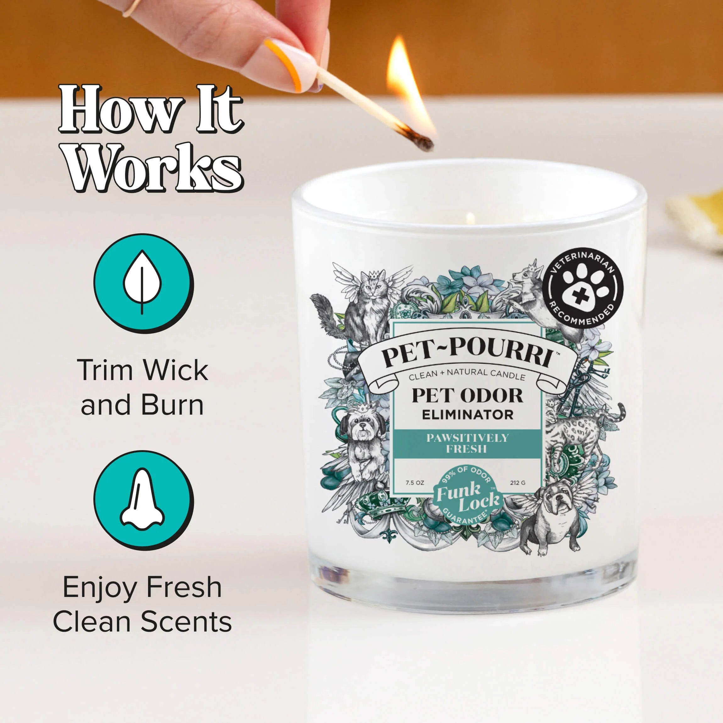 Pawsitively Fresh Candle - Pet~Pourri Candle