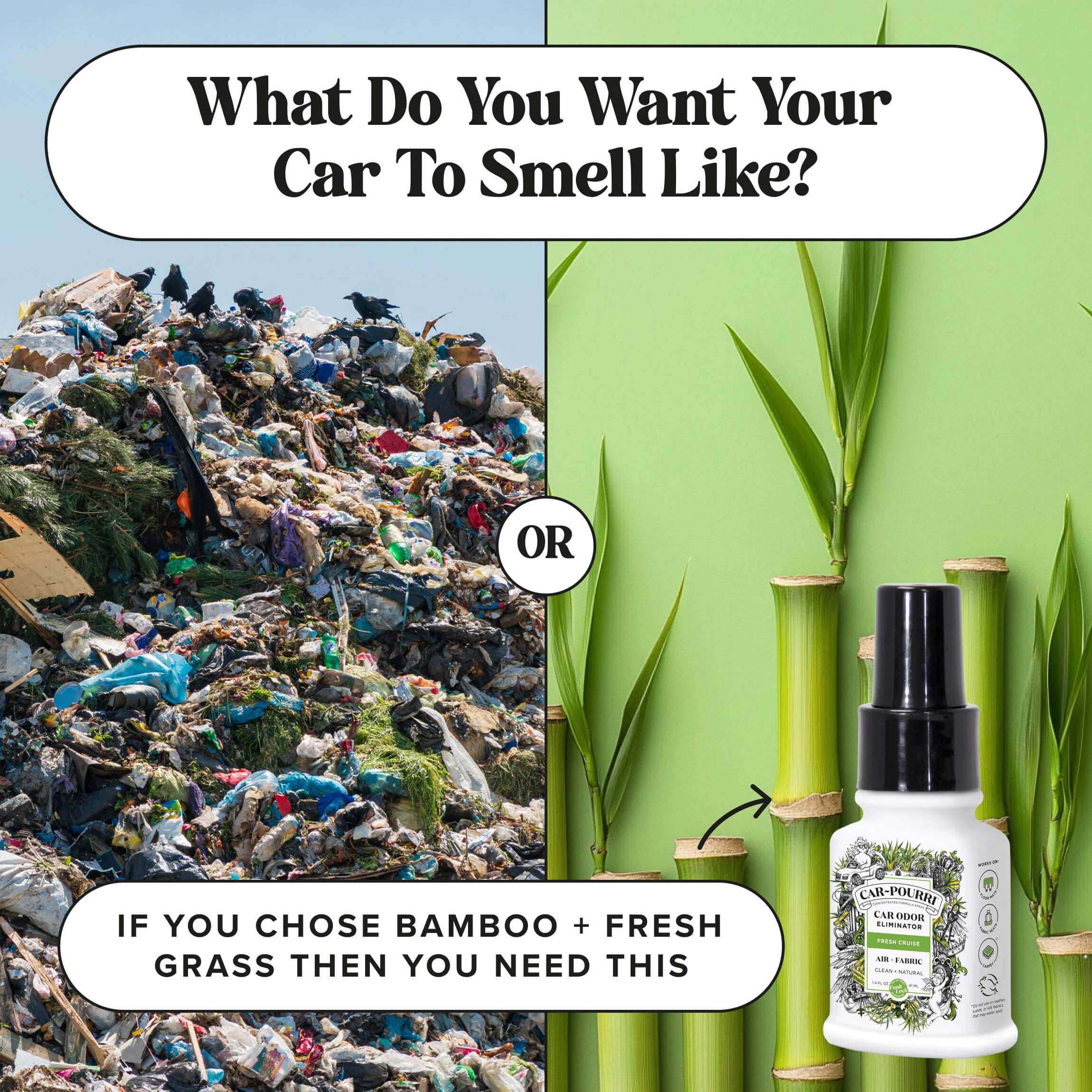 Fresh Cruise - Car~Pourri Car Air Freshener