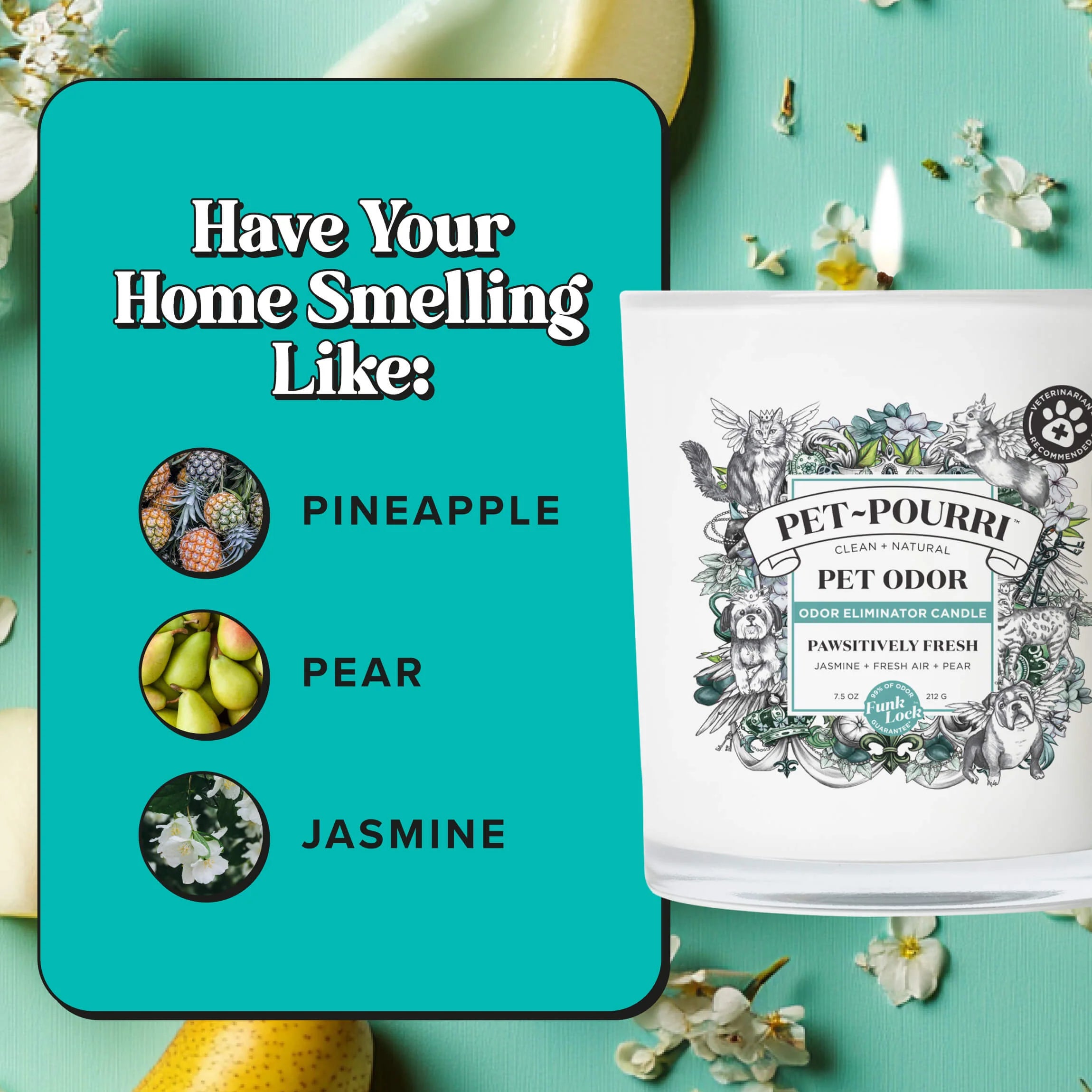 Pawsitively Fresh Candle - Pet~Pourri Candle