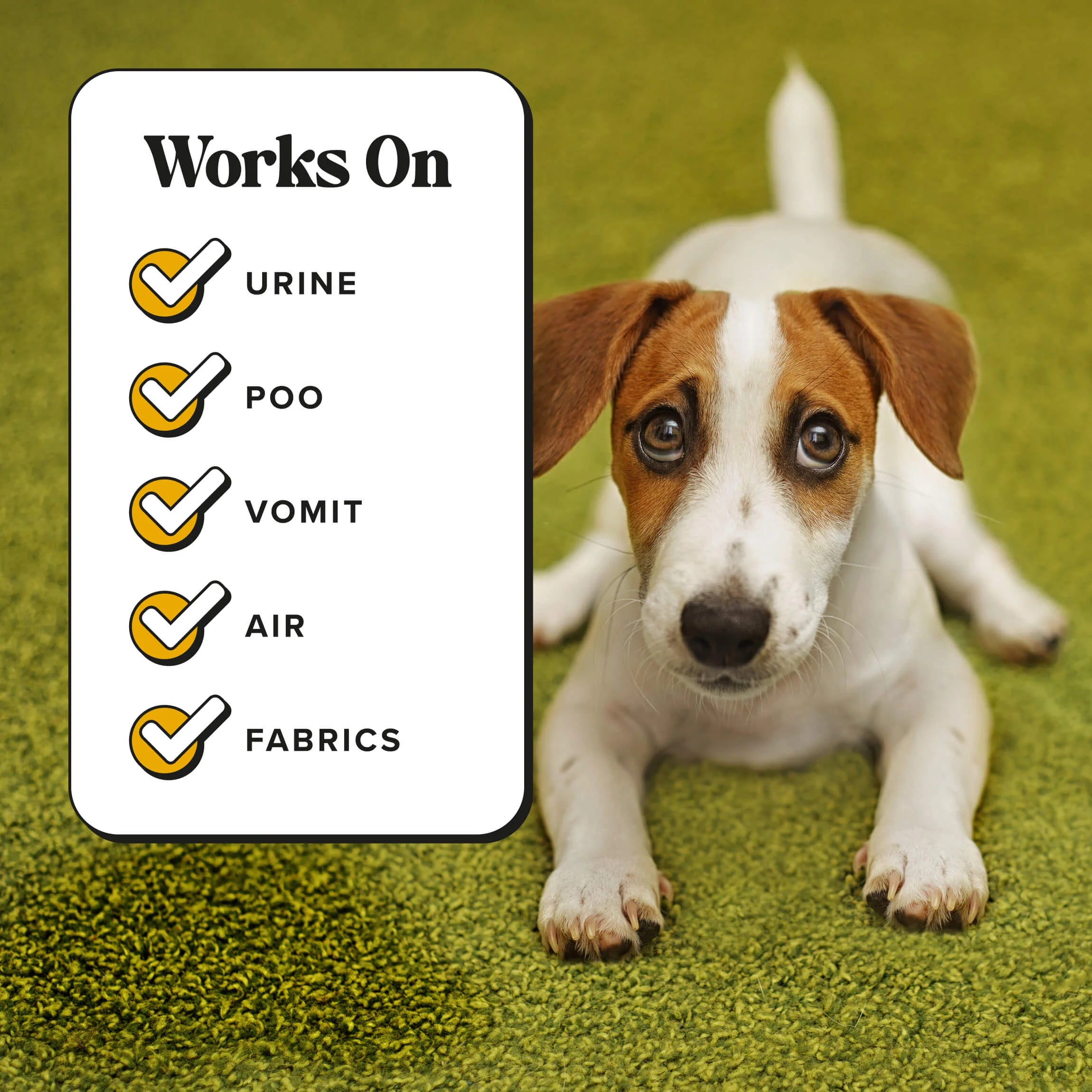 Canine Coconut - Pet~Pourri Room Spray