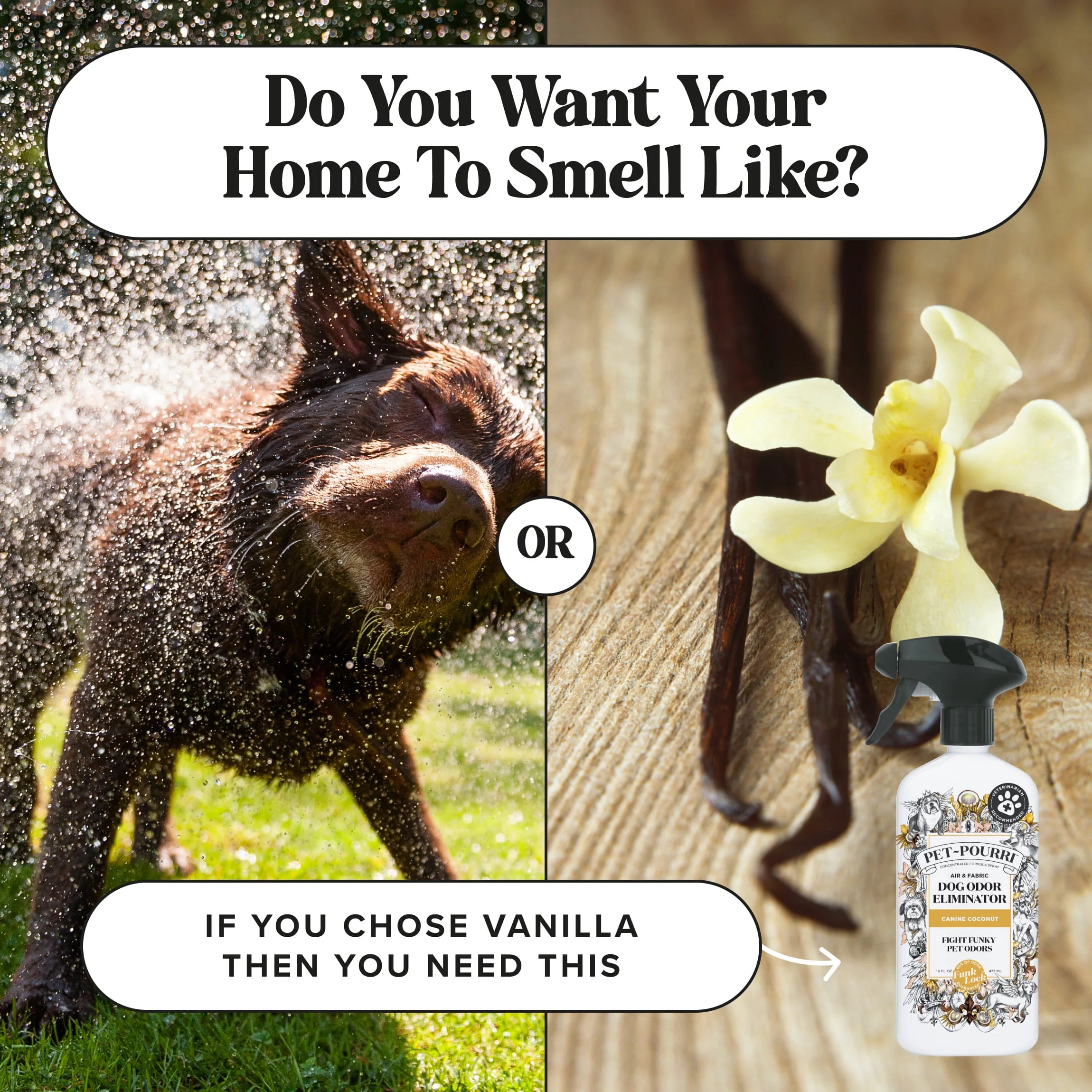 Canine Coconut - Pet~Pourri Room Spray