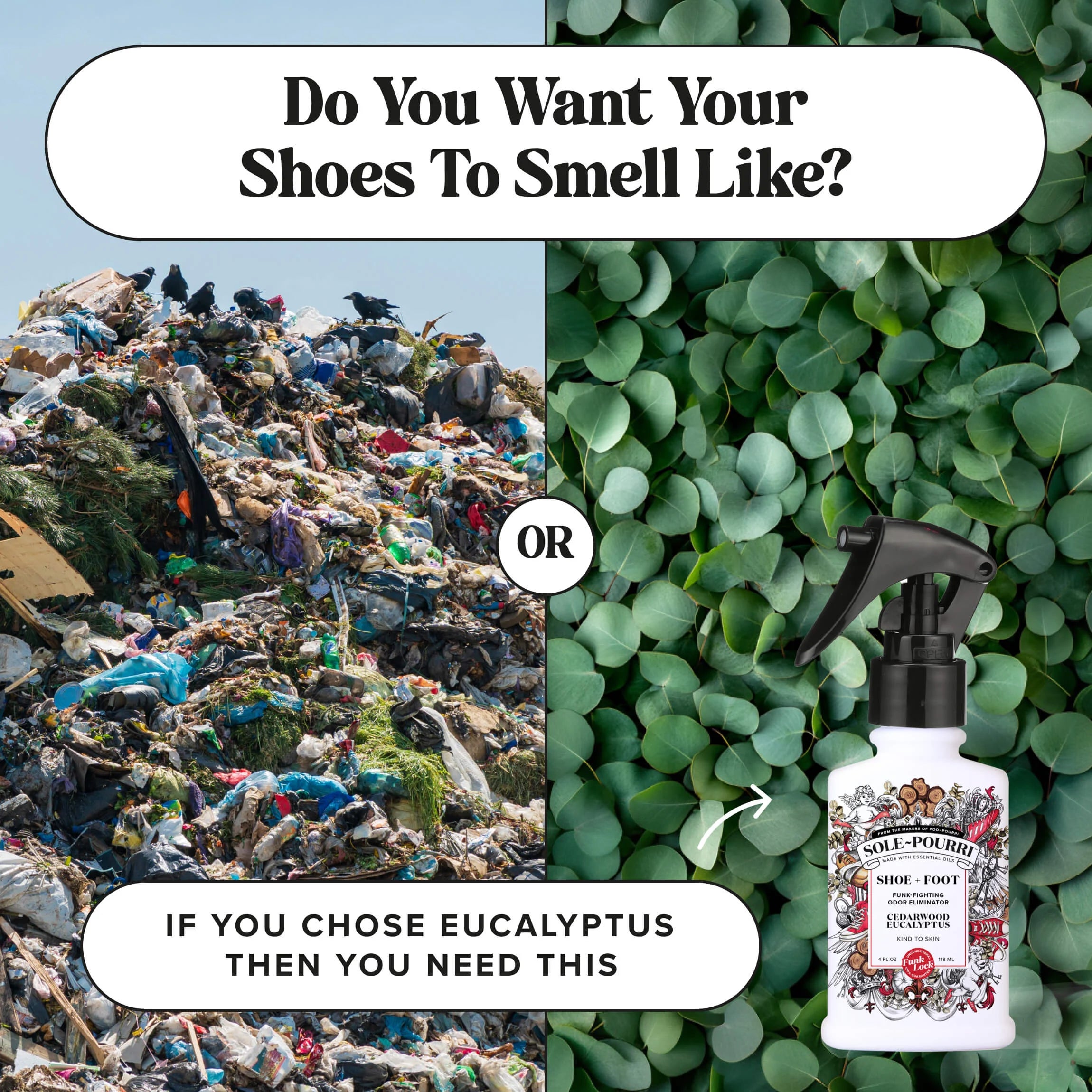 Cedarwood Eucalyptus - Sole~Pourri Shoe Deodorizer
