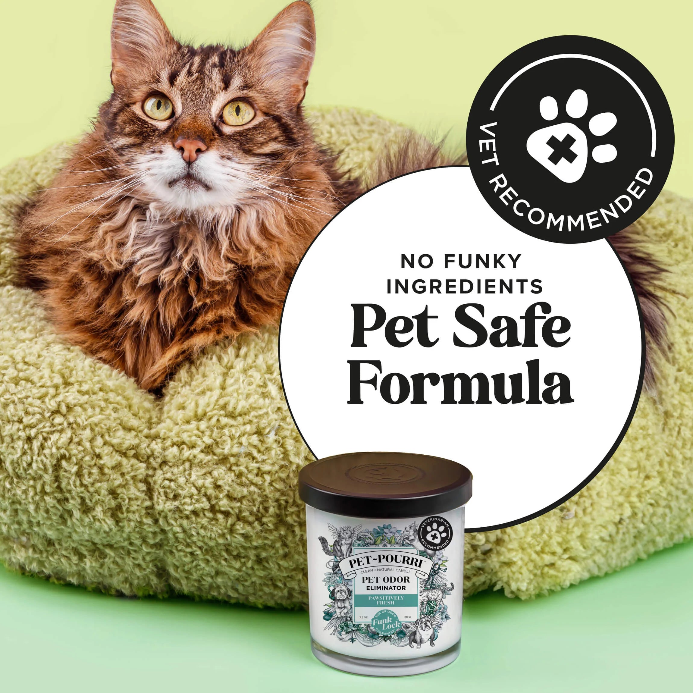 Pawsitively Fresh Candle - Pet~Pourri Candle