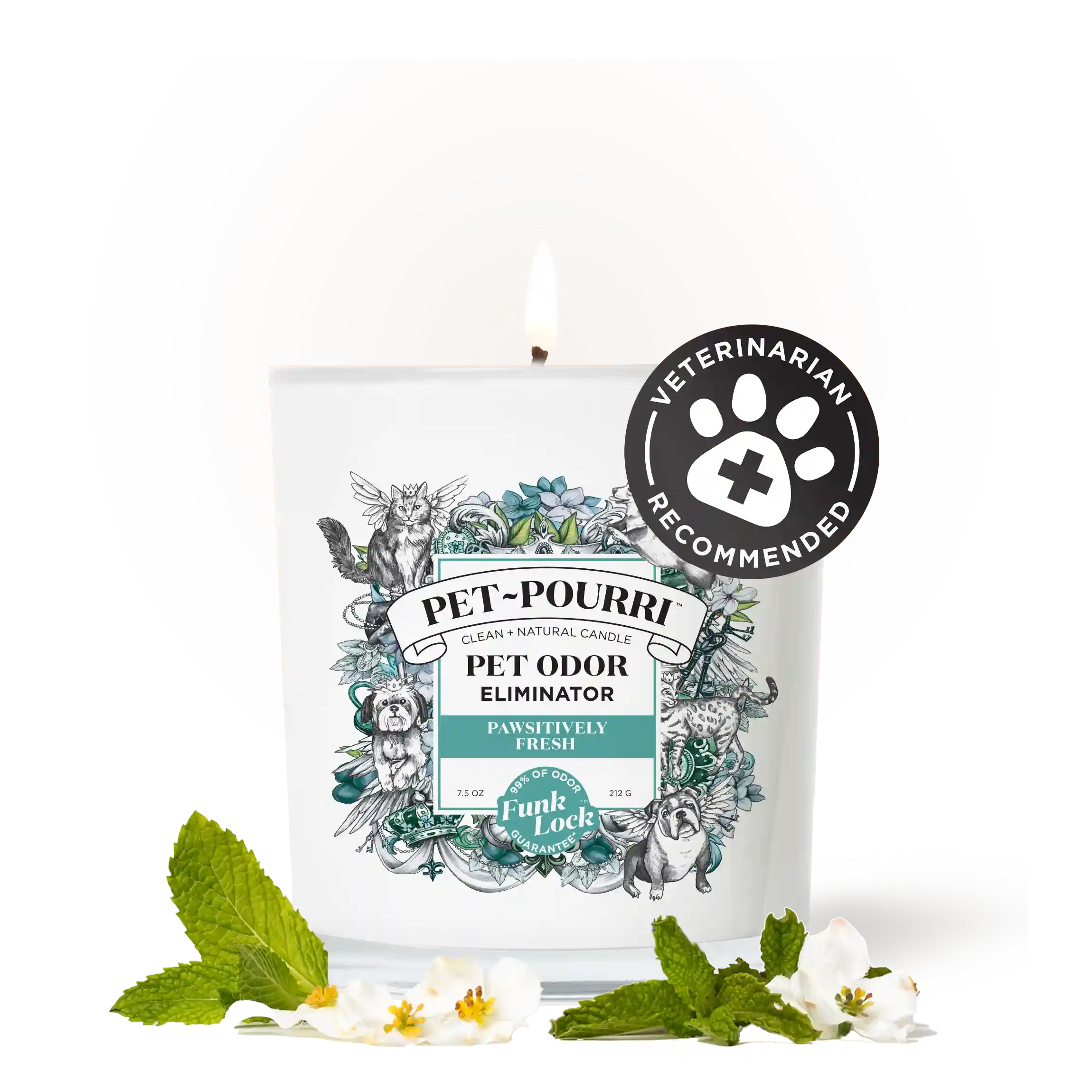 Pawsitively Fresh Candle - Pet~Pourri Candle