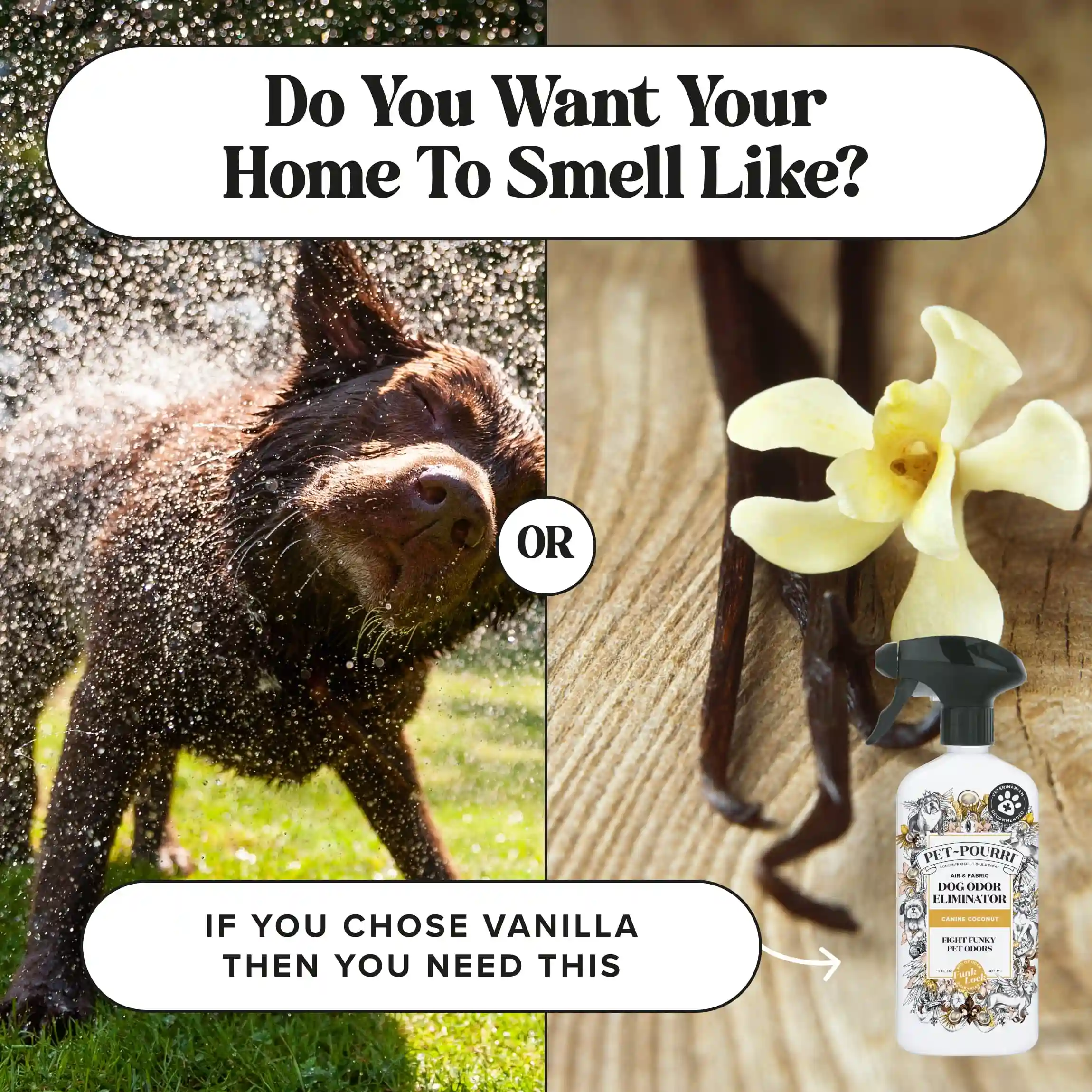 Canine Coconut - Pet~Pourri Room Spray - Image 10
