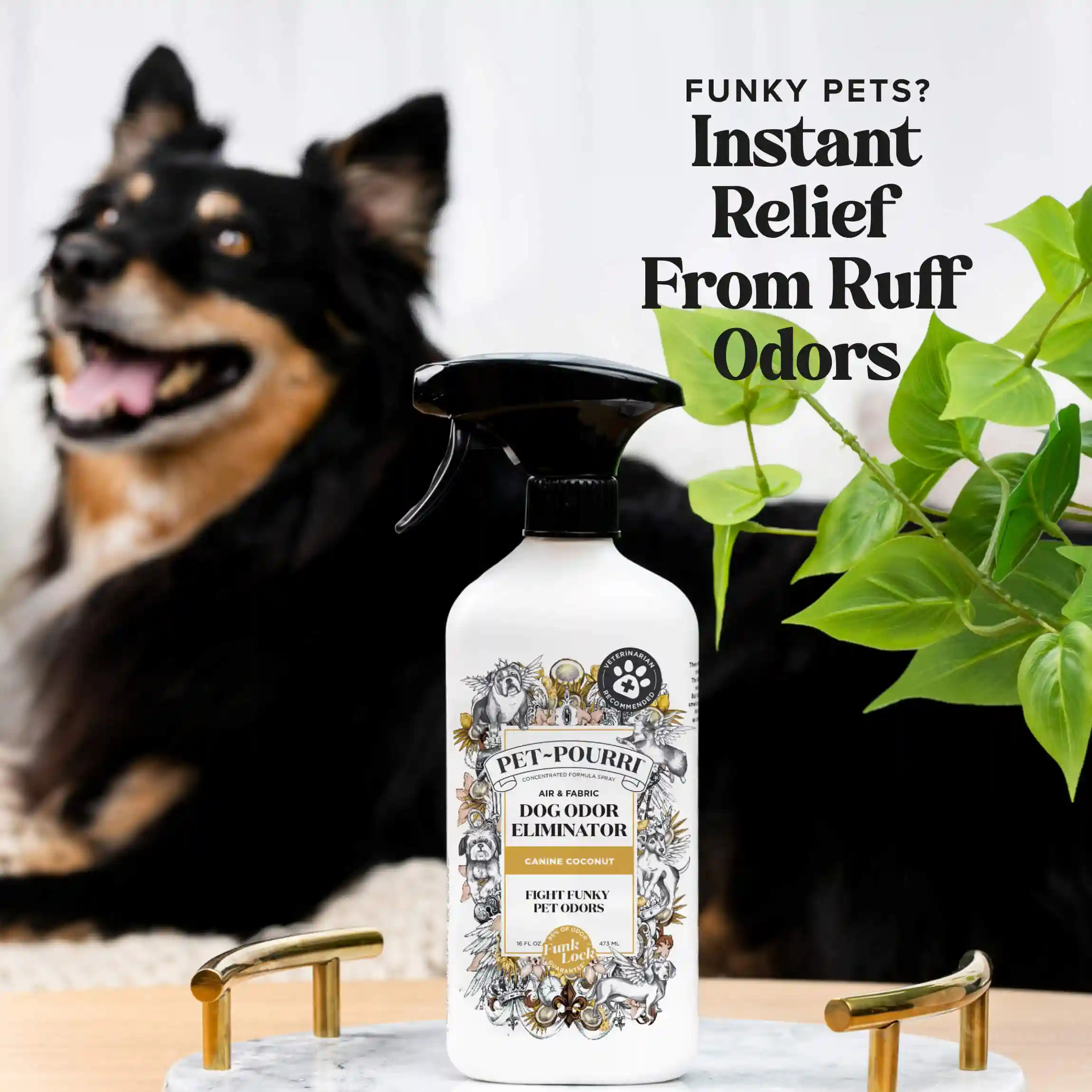 Canine Coconut - Pet~Pourri Room Spray - Image 3