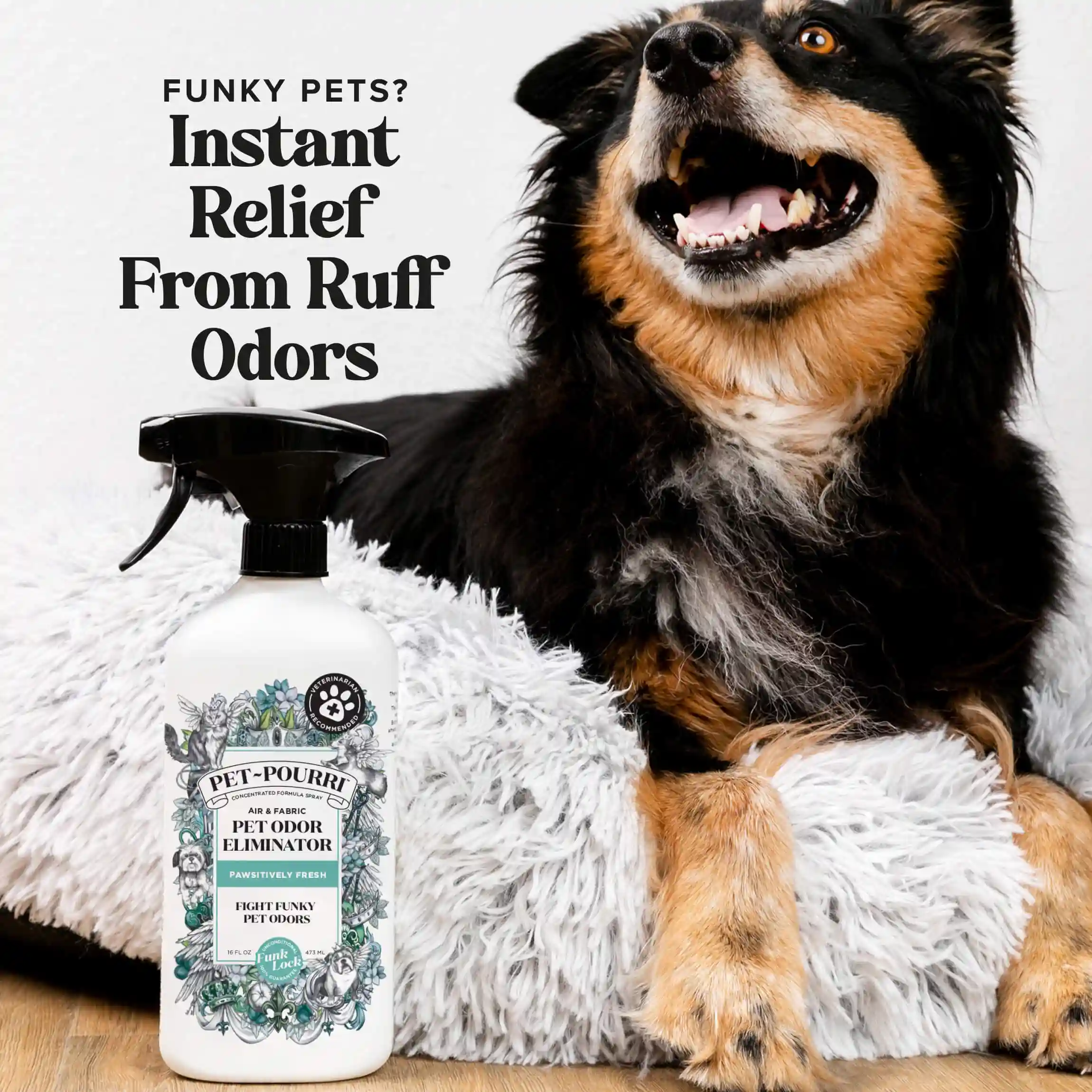 Pawsitively Fresh - Pet~Pourri Room Spray - Image 3