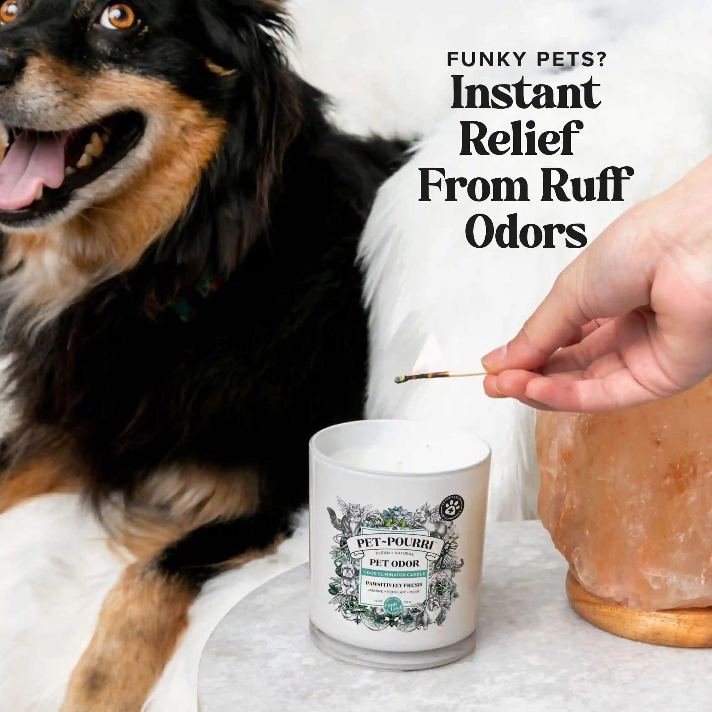 Pawsitively Fresh Candle - Pet~Pourri Candle - Image 3