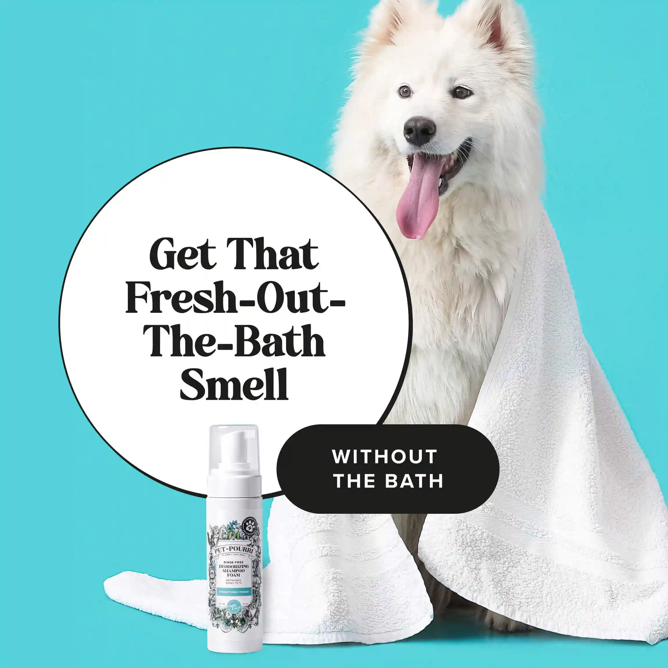 Rinse-Free Deodorizing Shampoo - Image 3