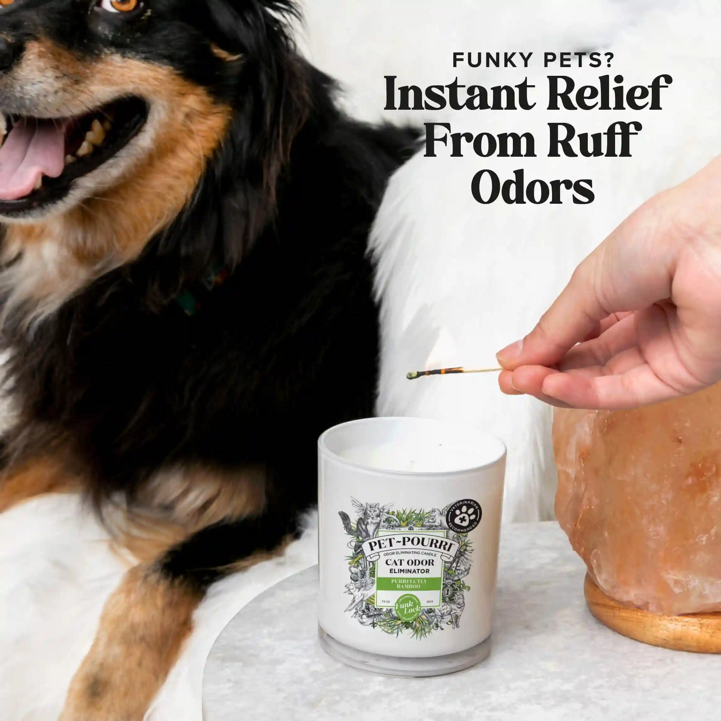Purrfectly Bamboo Candle - Pet~Pourri Candle - Image 3