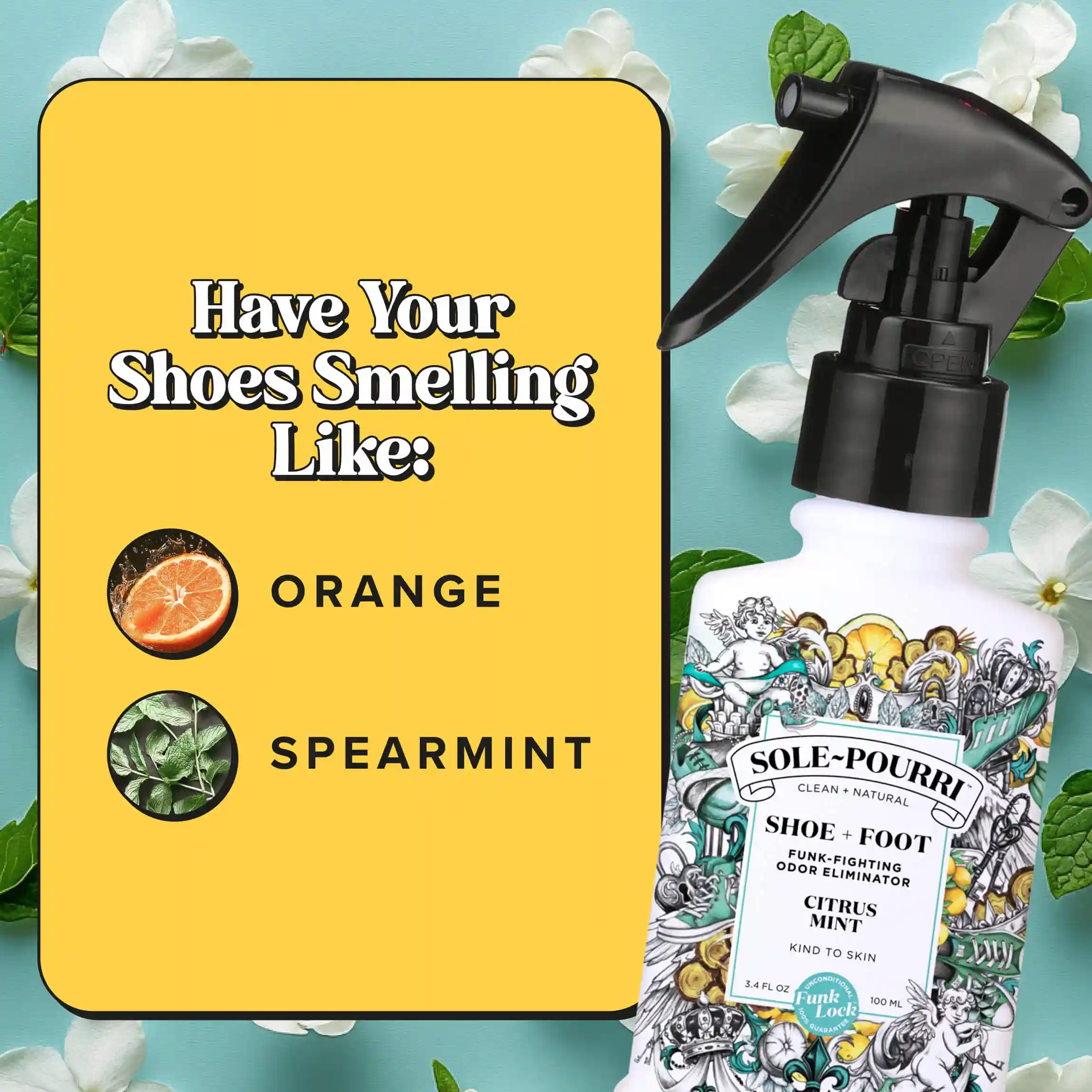 Citrus Mint - Sole~Pourri Shoe Deodorizer - Image 7