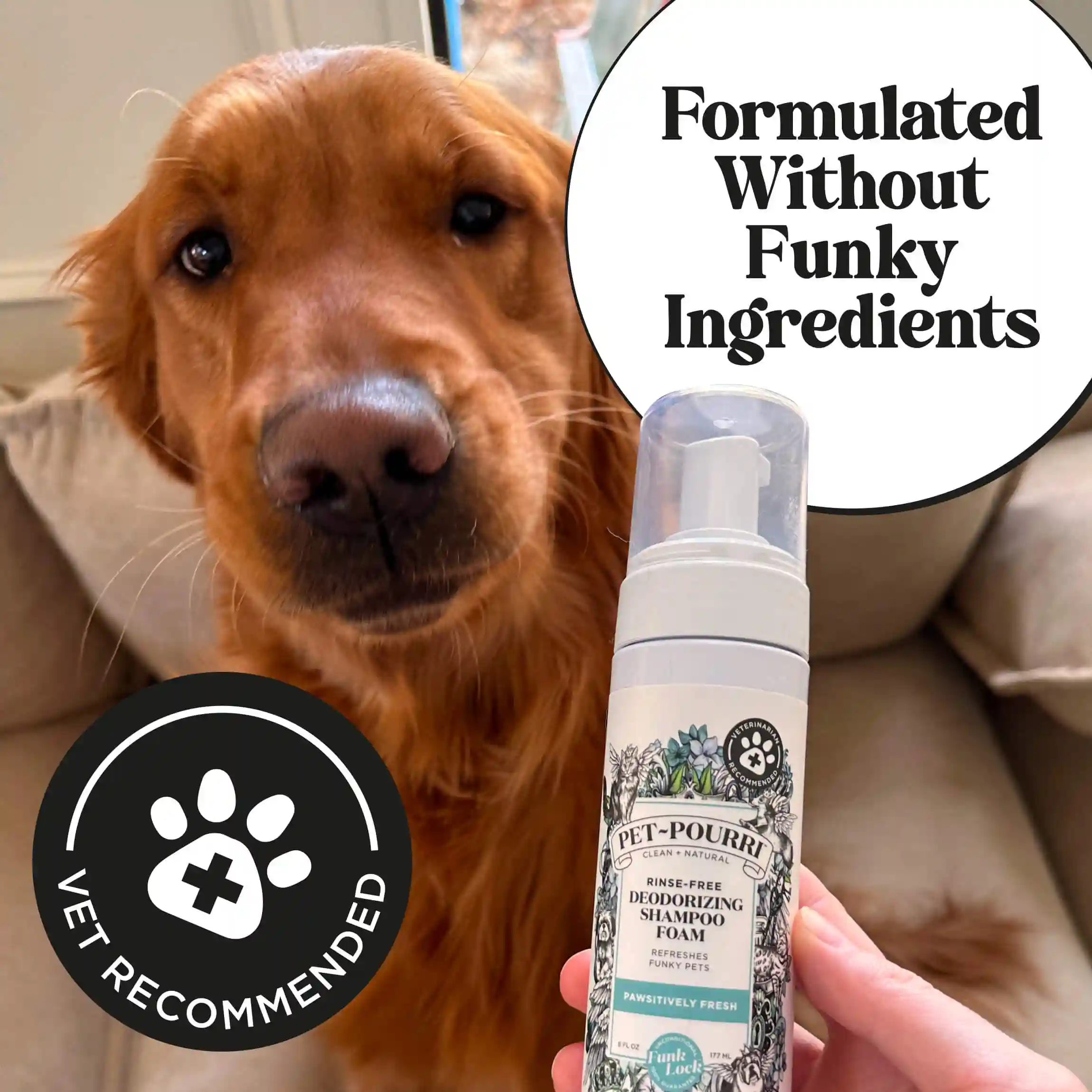 Rinse-Free Deodorizing Shampoo - Image 5