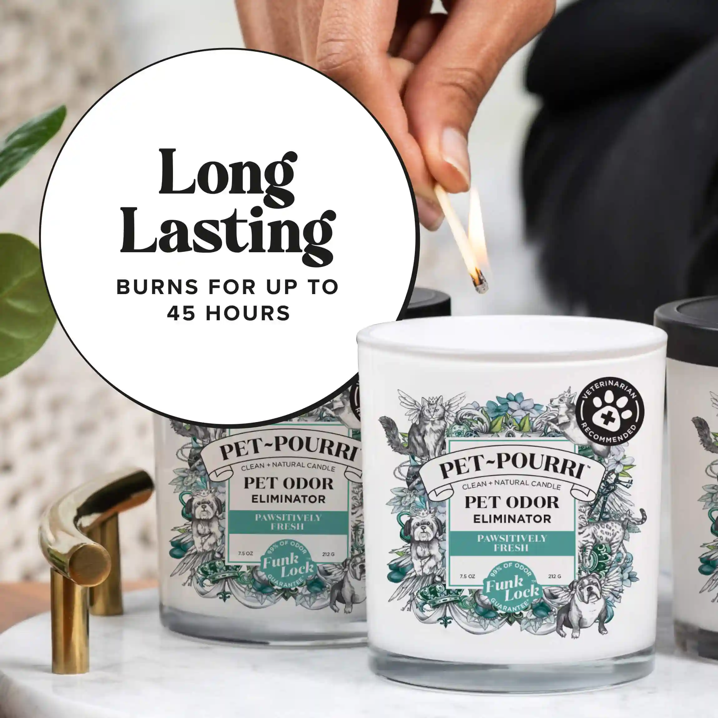 Pawsitively Fresh Candle - Pet~Pourri Candle - Image 7