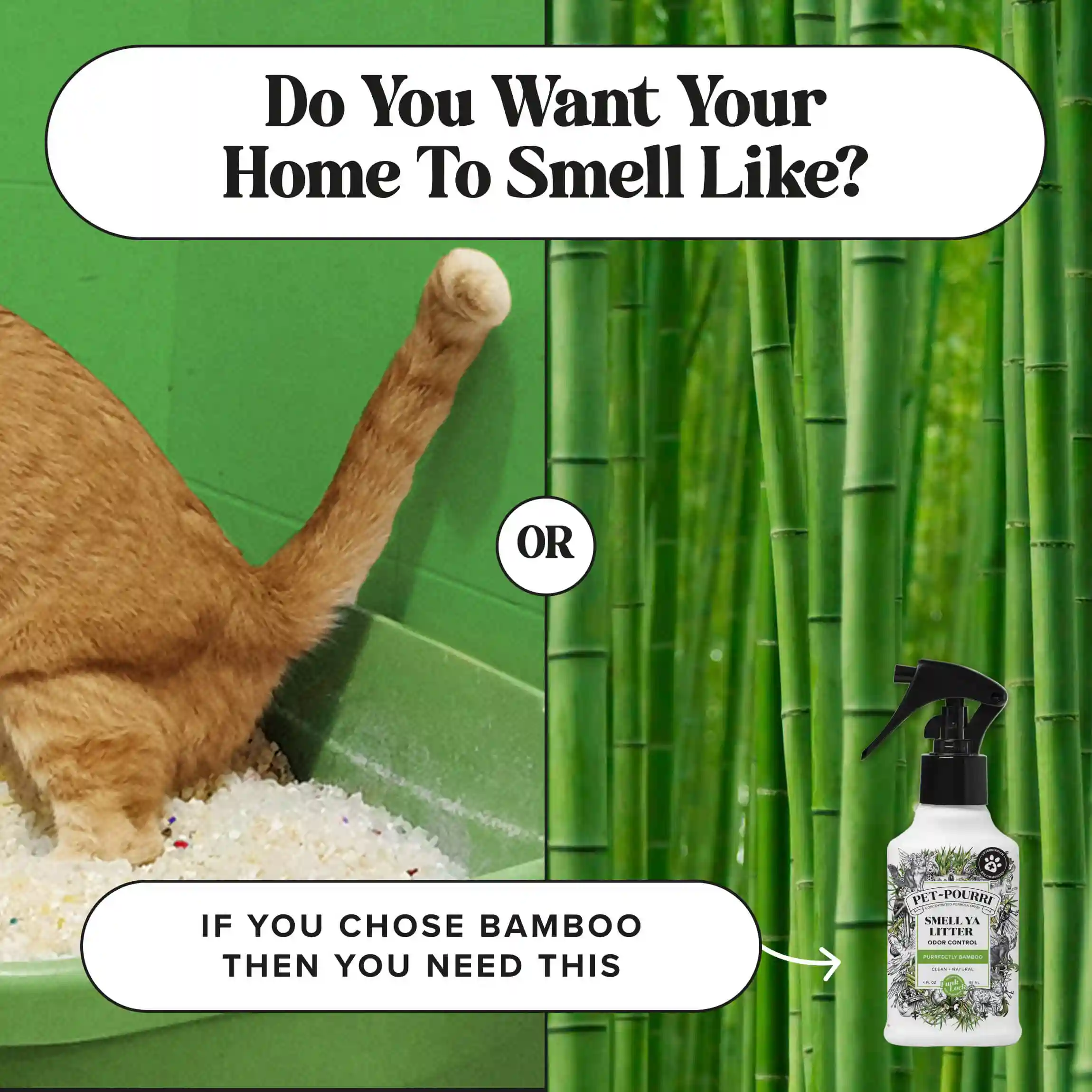 Smell Ya Litter - Pet~Pourri Litter Box Freshener - Image 9