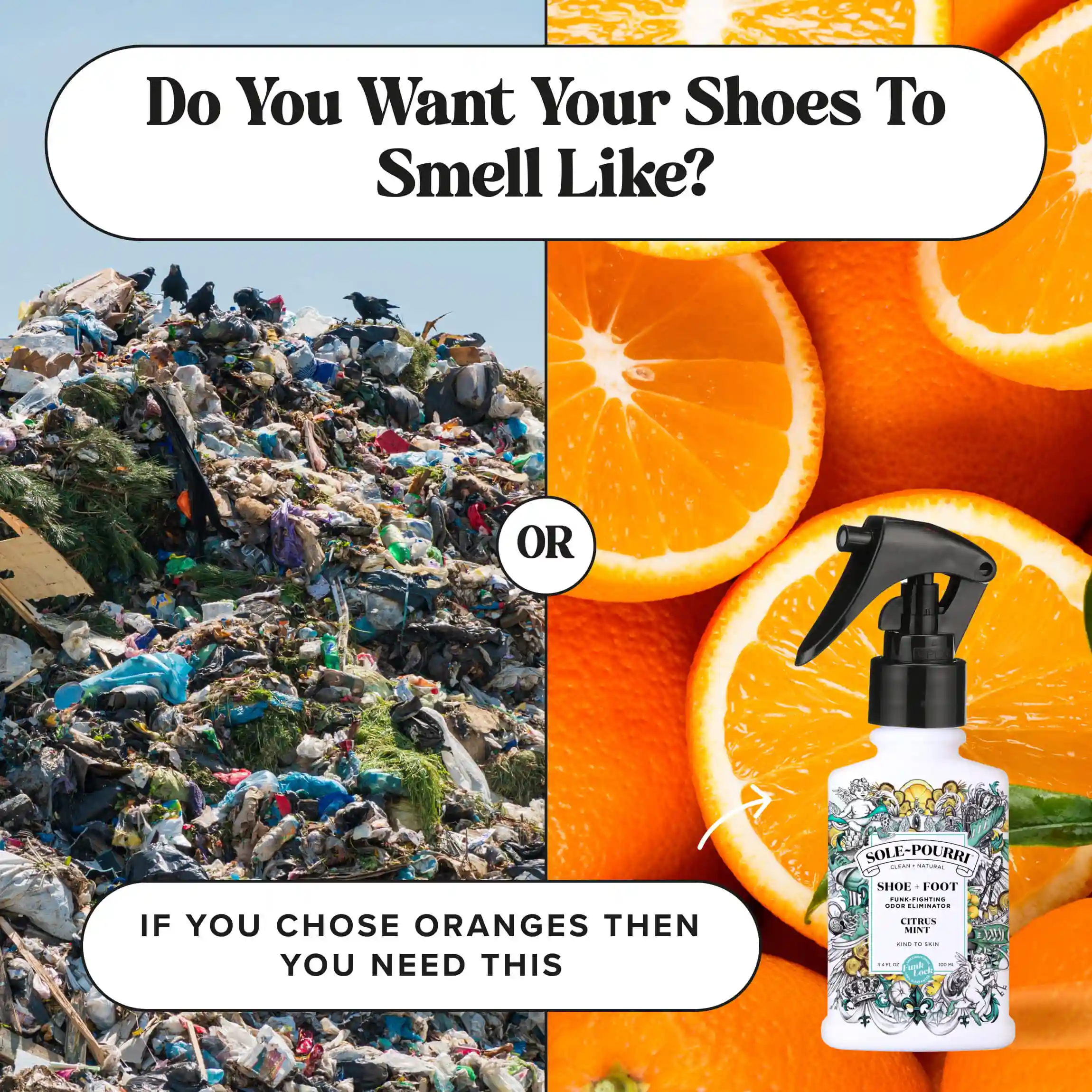 Citrus Mint - Sole~Pourri Shoe Deodorizer - Image 10