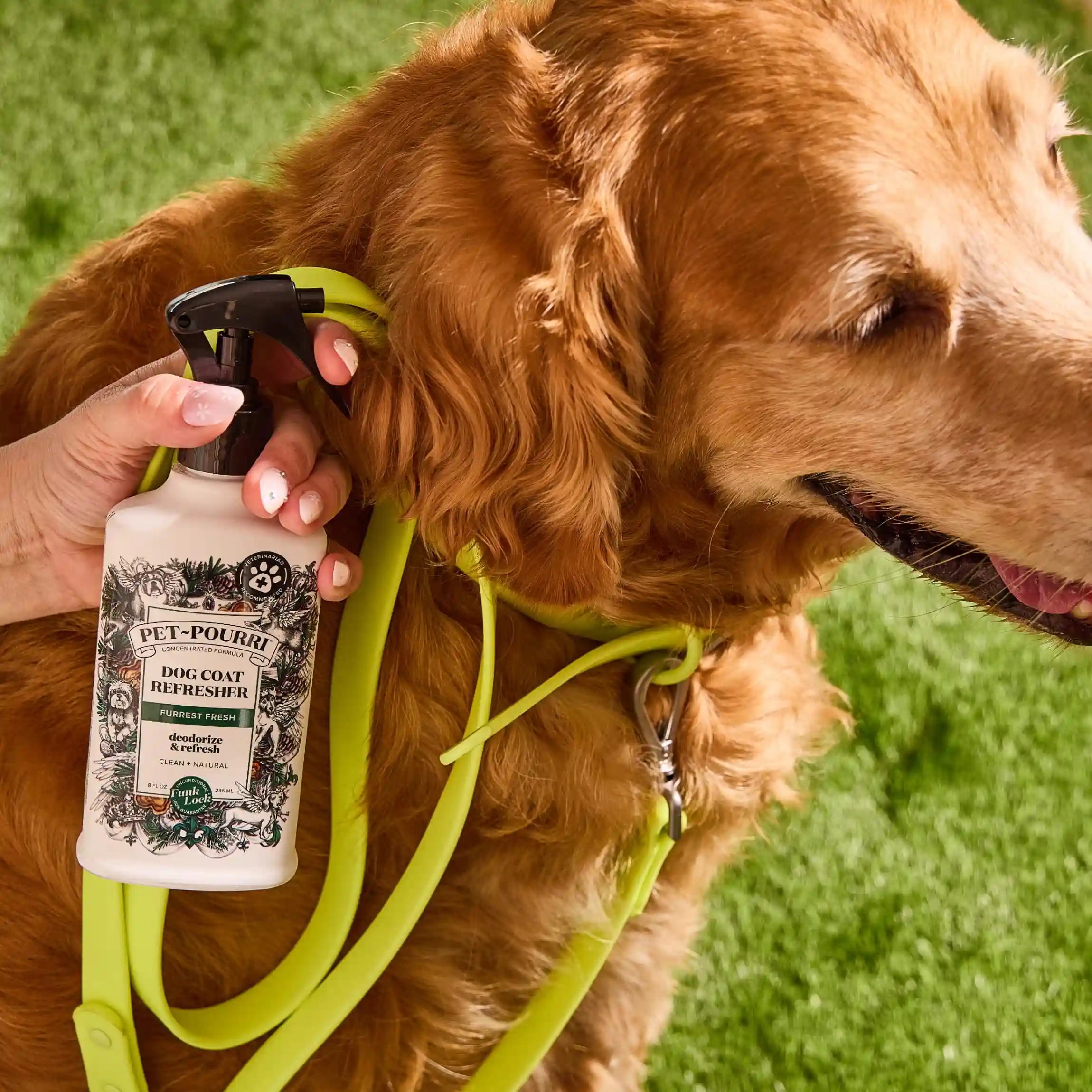 Dog Coat Refresher - Pet~Pourri - Image 8