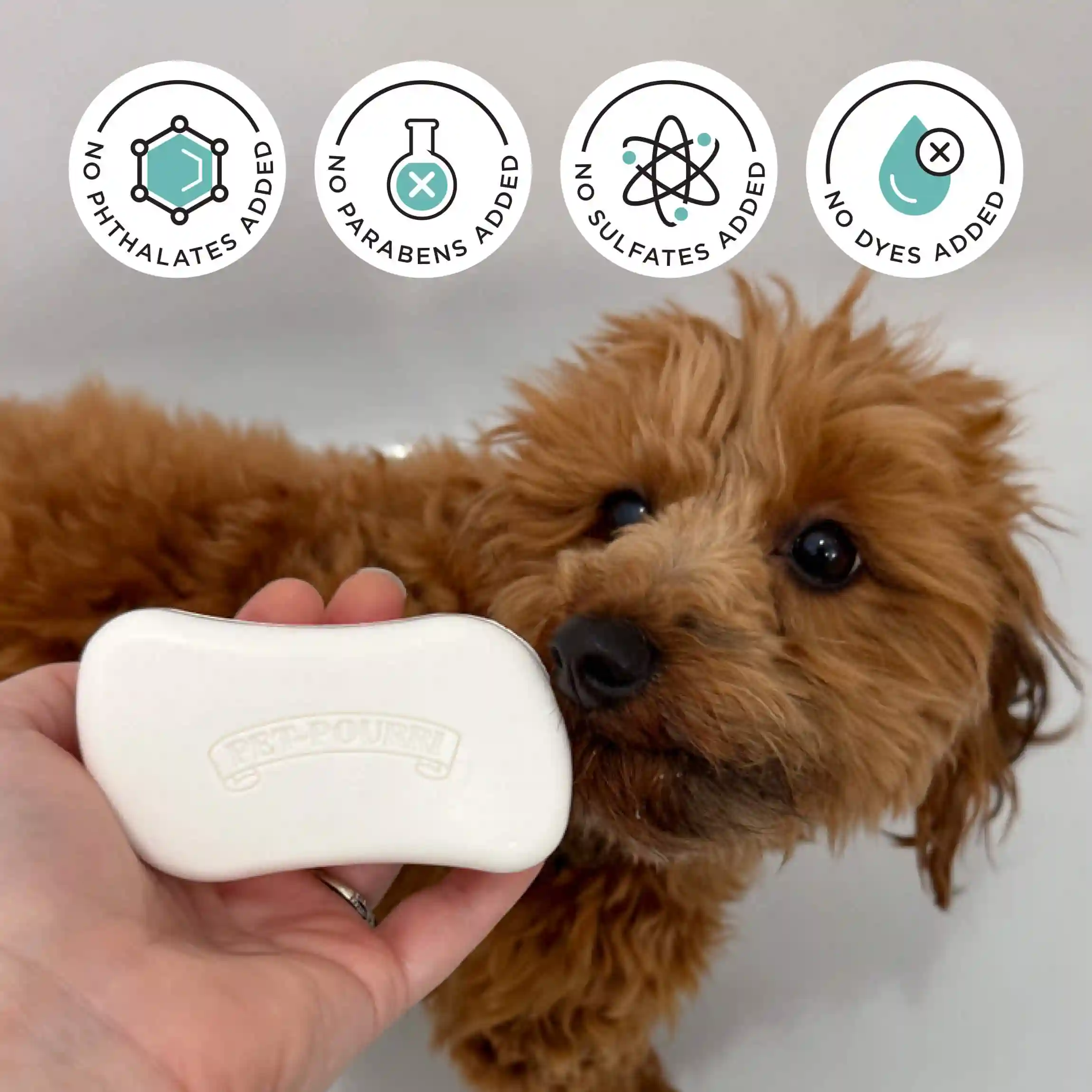Deodorizing Shampoo Bar - Image 8