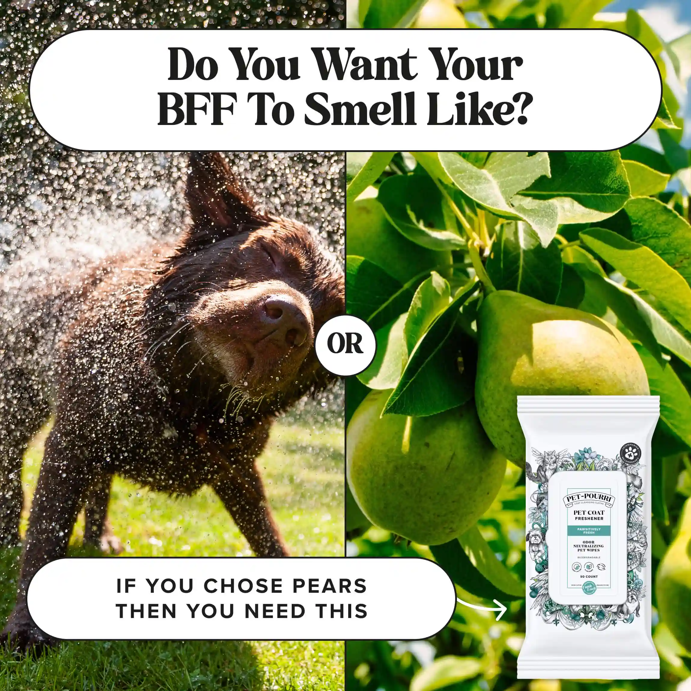 Pawsitively Fresh Wipes - Pet~Pourri - Image 9