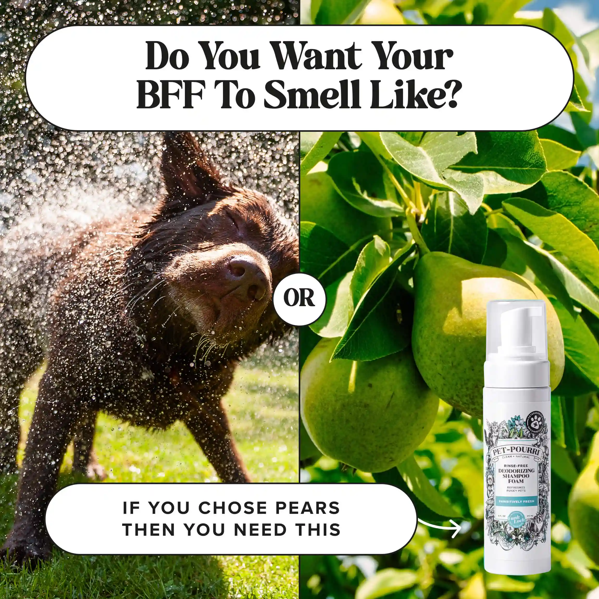 Rinse-Free Deodorizing Shampoo - Image 9