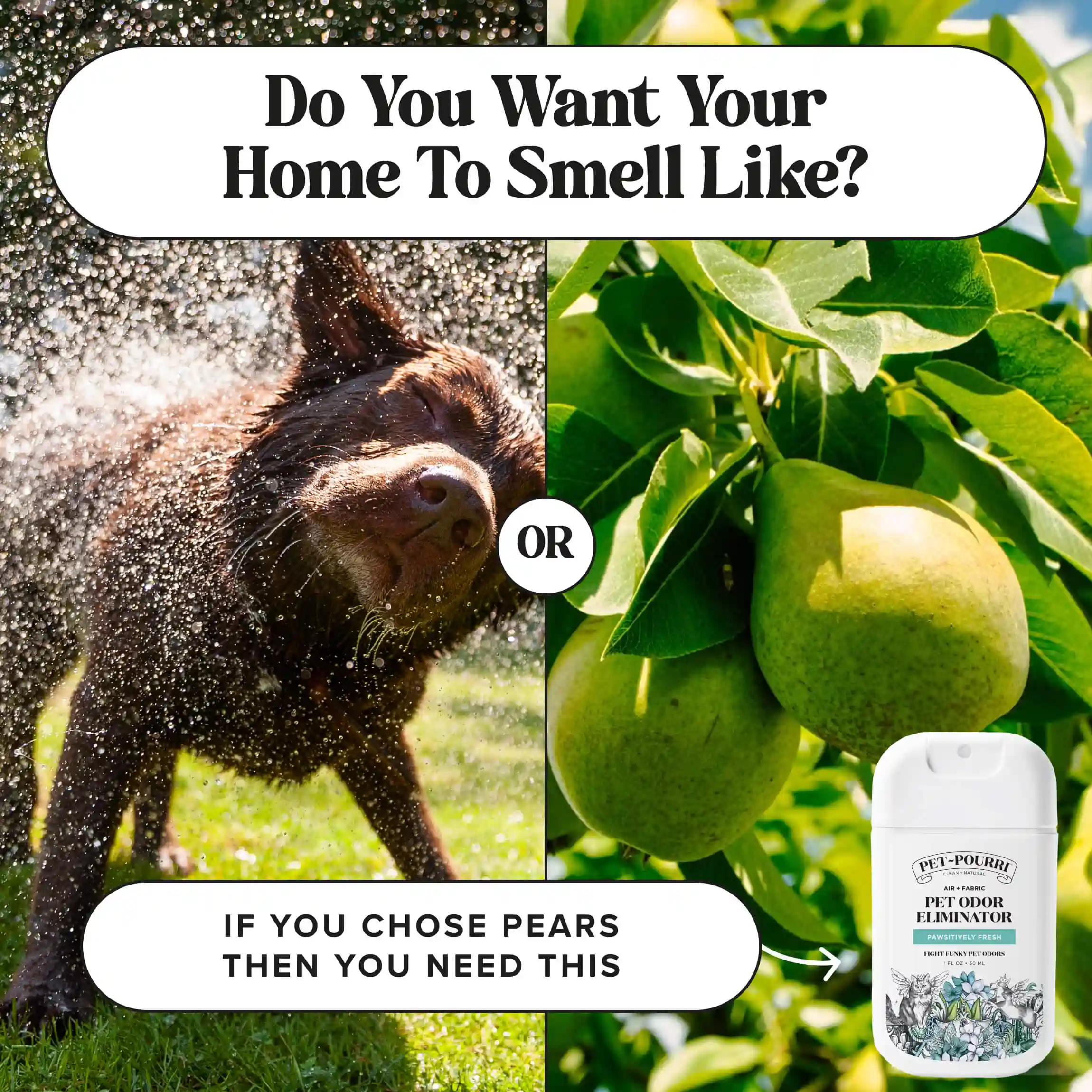 Pawsitively Fresh Pocket Sprayer - Image 9
