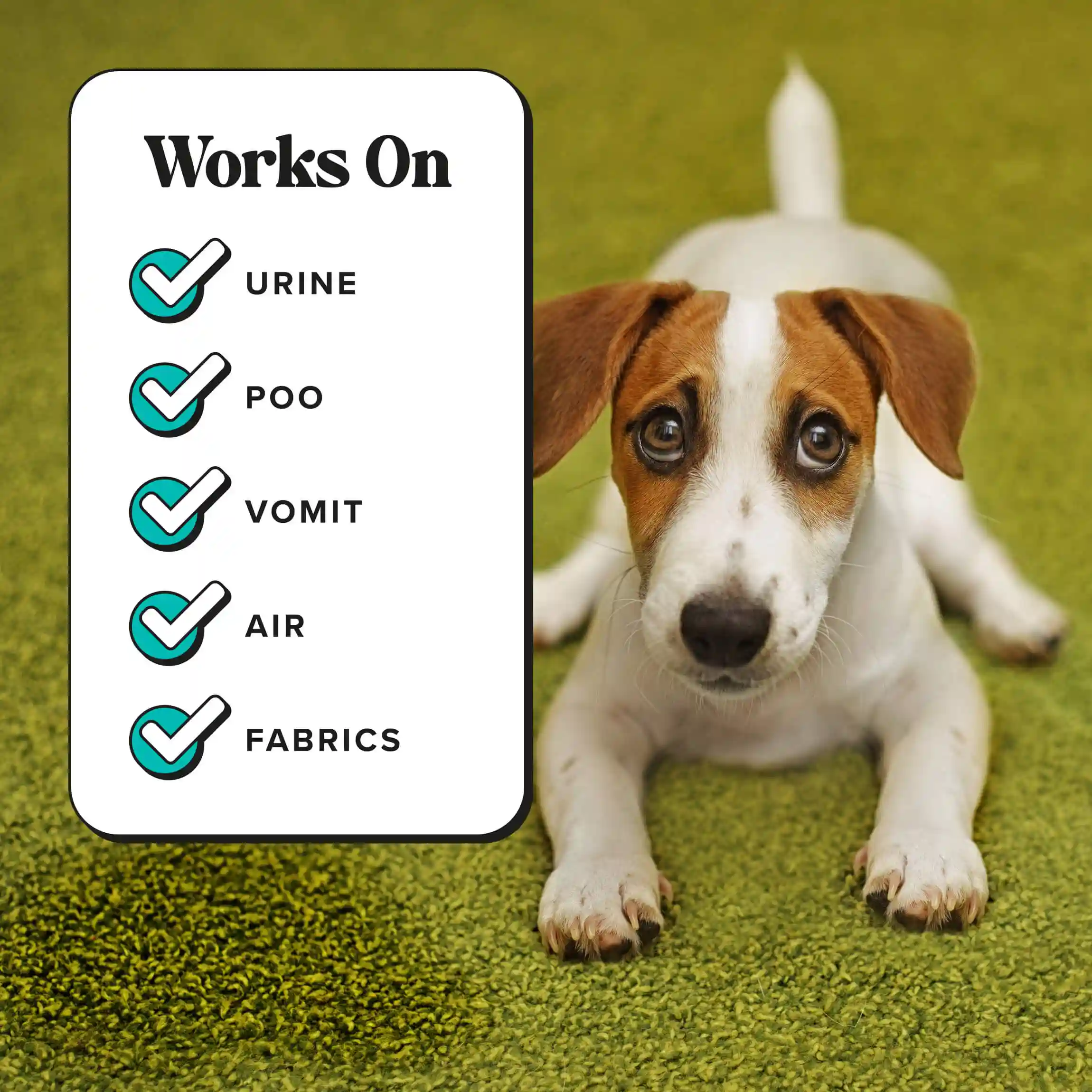 Pawsitively Fresh Pocket Sprayer - Image 6