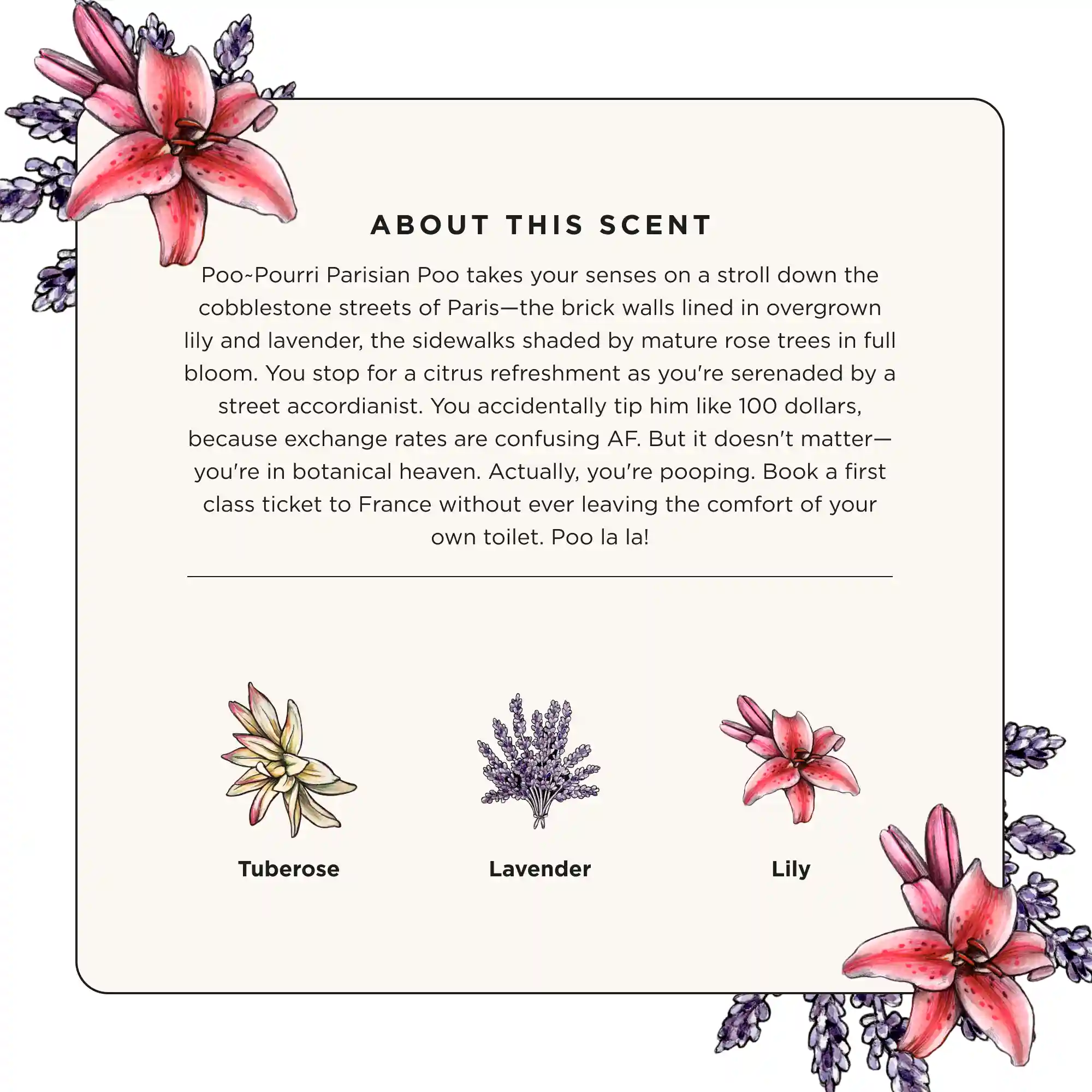Parisian Poo 10ml - Poo~Pourri Toilet Spray - Image 3