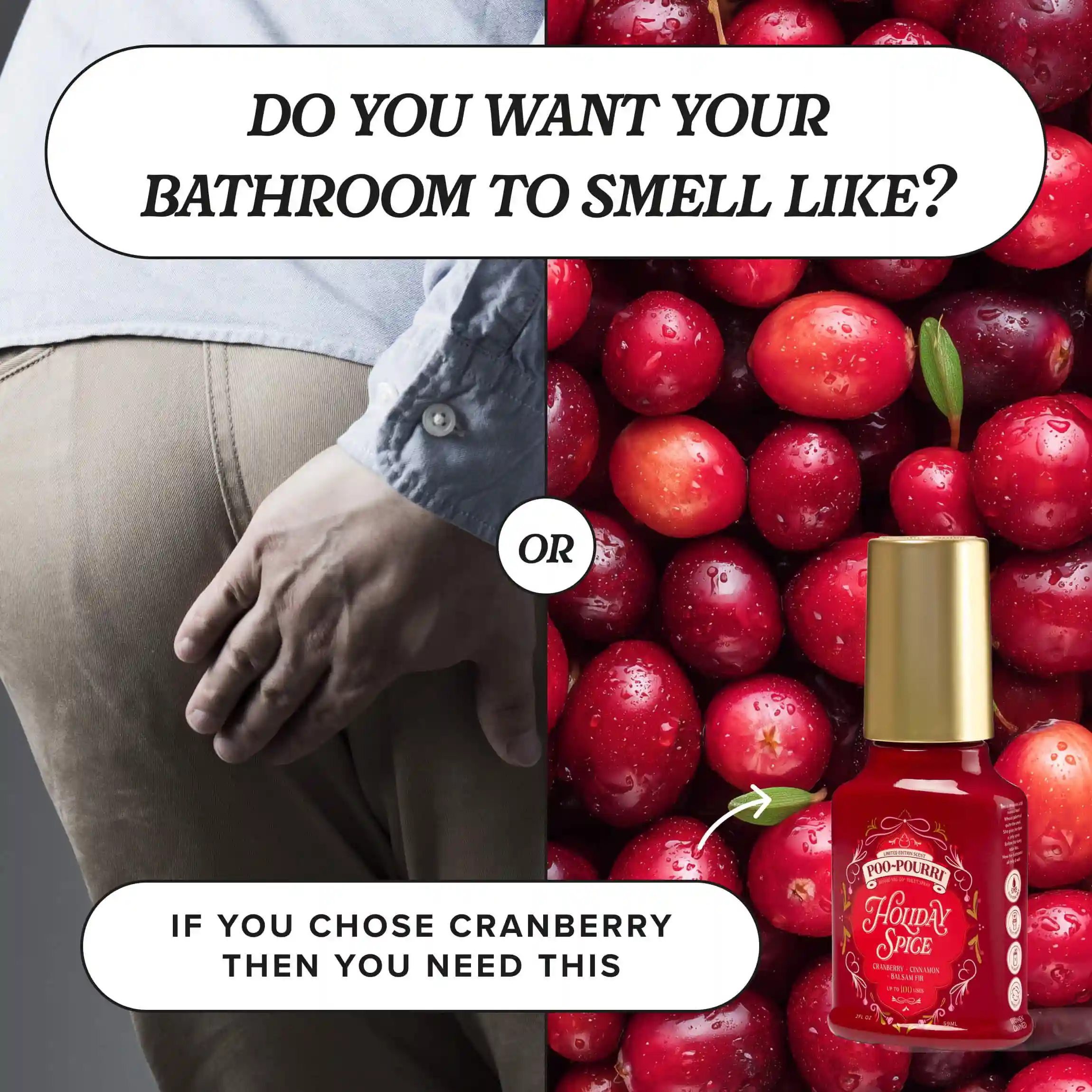 Holiday Spice - Poo~Pourri Toilet Sprays - Image 12