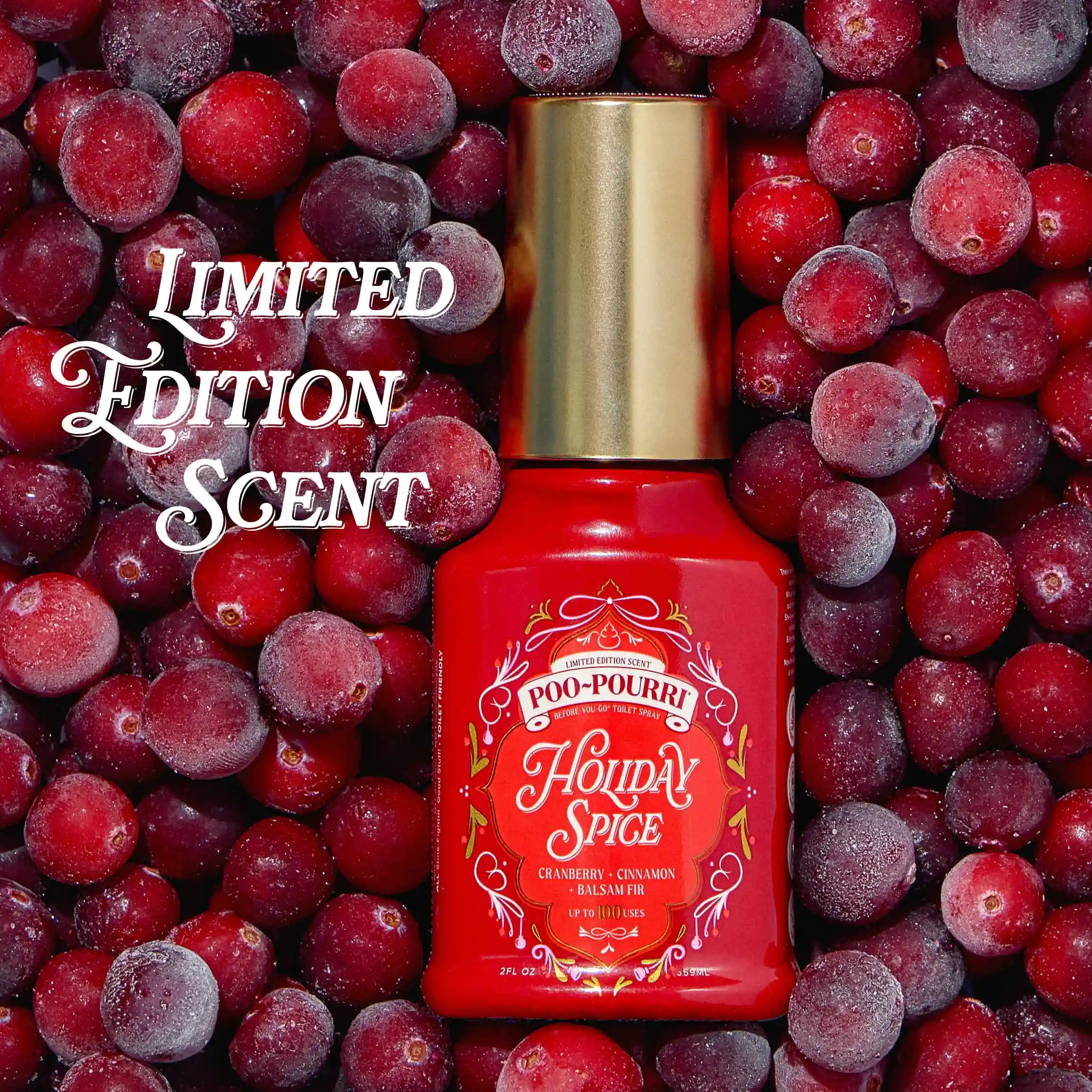 Holiday Spice - Poo~Pourri Toilet Sprays - Image 4