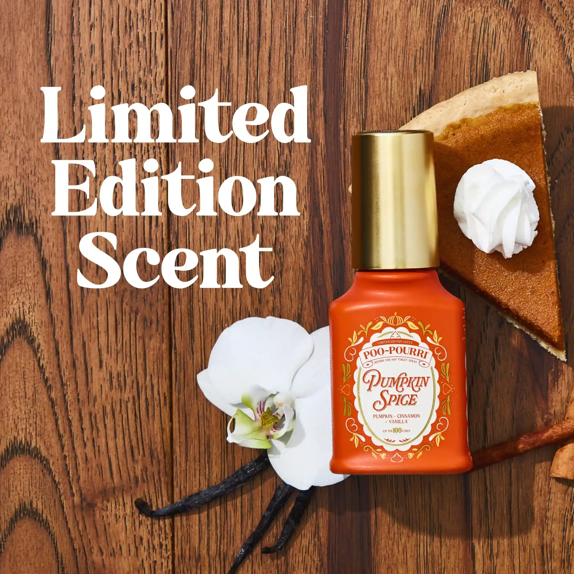 Autumn Obsessed Bundle - Image 4