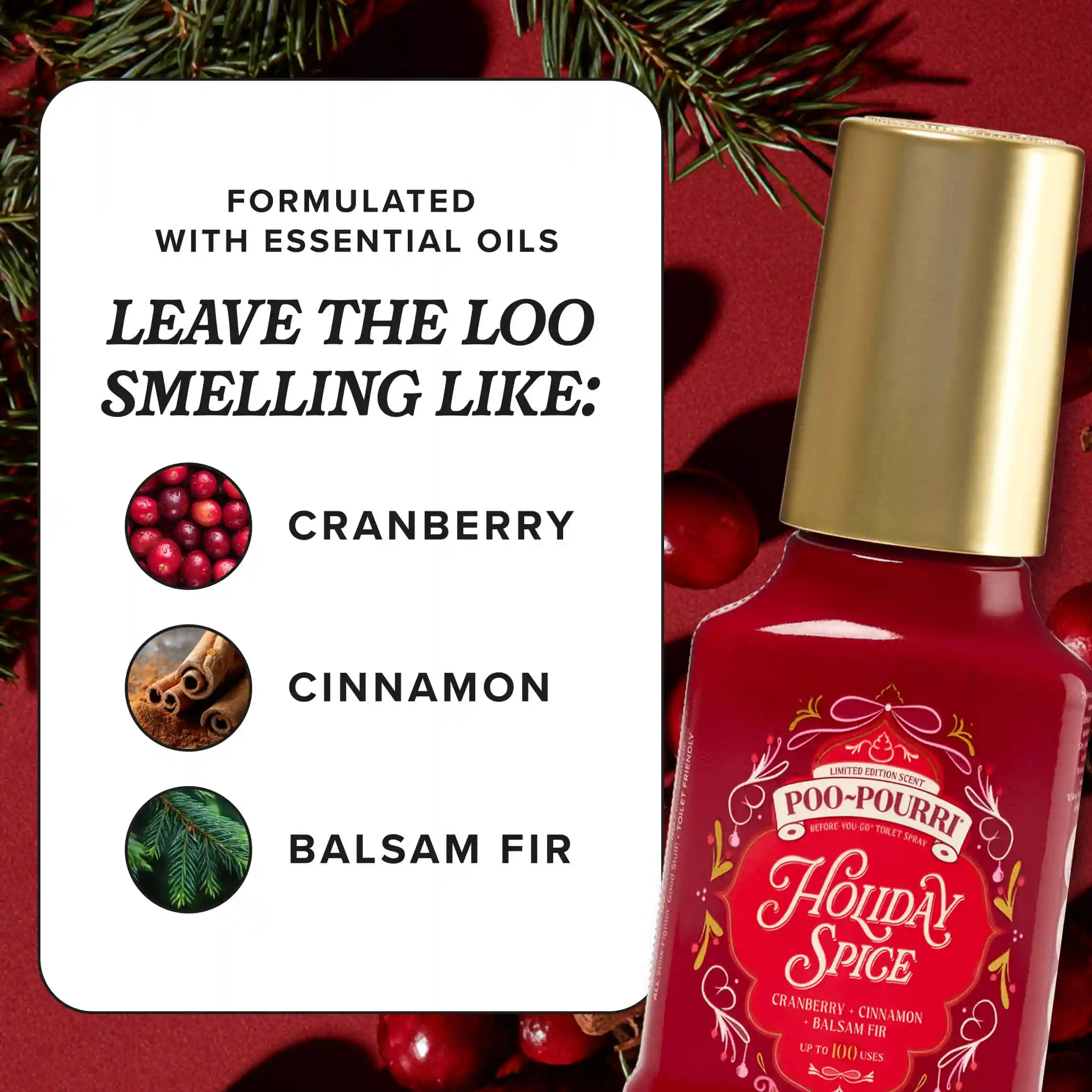 Holiday Spice - Poo~Pourri Toilet Sprays - Image 9