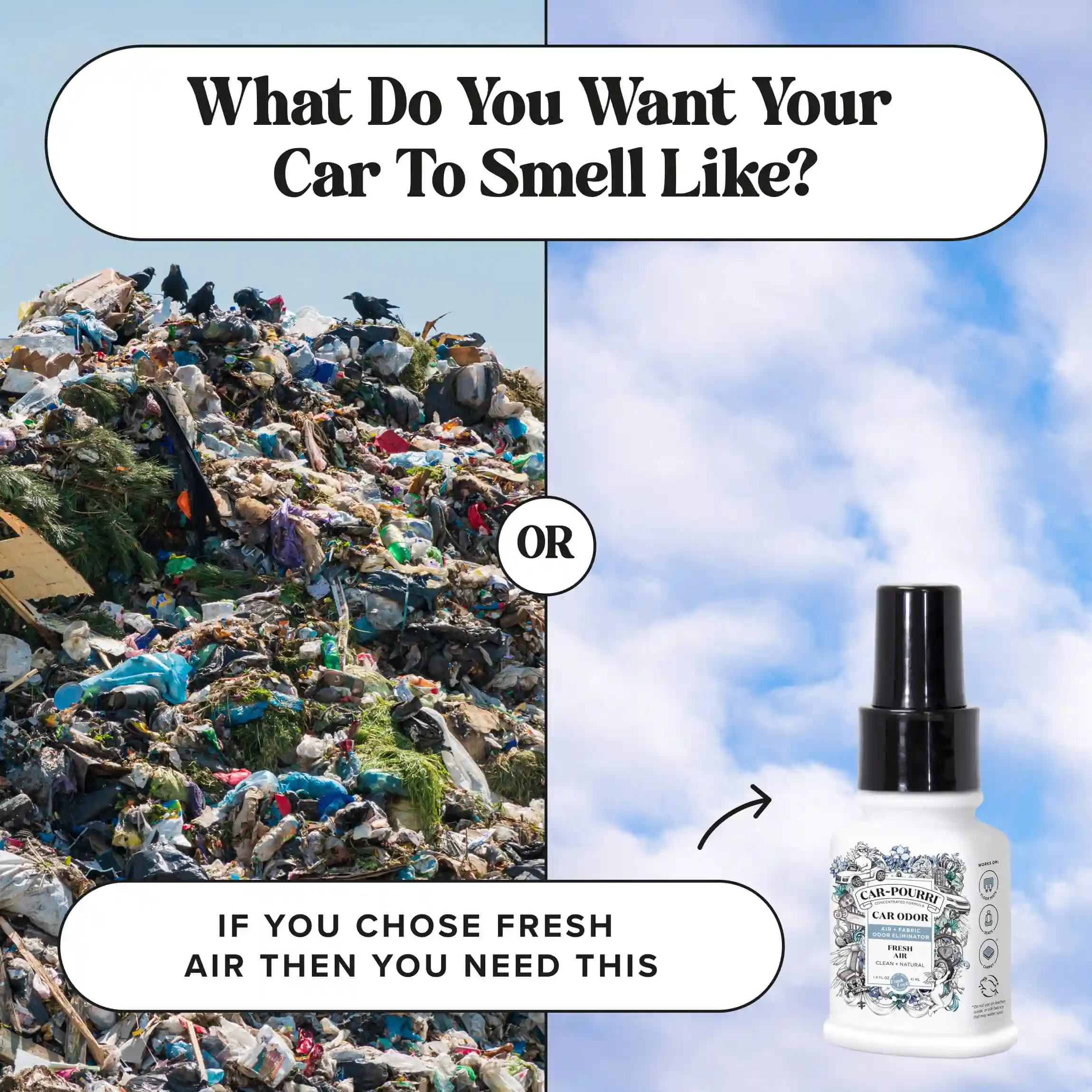 Fresh Air - Car~Pourri Car Air Freshener - Image 10